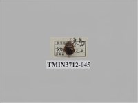 藏品(緣邊駝金龜)的圖片